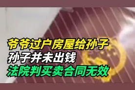 爷爷瞒着儿女过户房屋给孙子，孙子并未出钱，法院判买卖合同无效视频封面