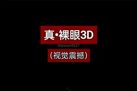 视觉冲击，裸眼3D震撼画面，平行眼横屏观看，无需设备辅助视频封面