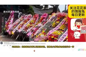 韩国人结婚奇葩习俗！送花圈，舞白狮子！看呆了老外！学不到精髓视频封面