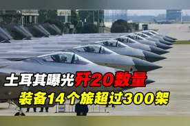 土耳其揭露中国歼20数量：装备14个旅，数量已超300架视频封面