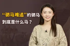“驷马难追”的驷马，到底是什么马？考验知识的时候到了！视频封面