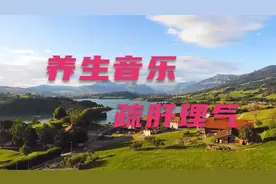 五音疗疾 木音疏肝 流畅轻盈 悠扬悦耳 疏肝理气治愈系纯音乐视频封面