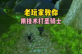 老玩家教你用技术打圣骑士  #魔兽世界  #巫妖王之怒怀旧服