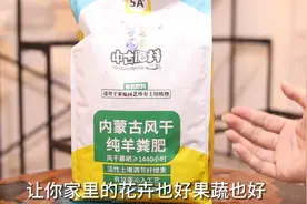 家里养花种菜用什么肥料？园艺师教你，用羊粪肥，肥沃温和不烧苗视频封面