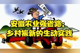 安徽农业强省路：乡村振兴的生动实践视频封面