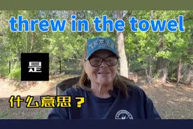 threw in the towel是什么意思？视频封面