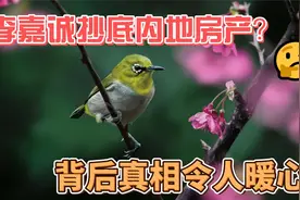 李嘉诚抄底内地地产，背后真相让人暖心视频封面