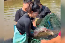 盘下神秘木桩鱼塘, 鱼塘中的木桩究竟是干嘛的？ #三农 #户外视频封面