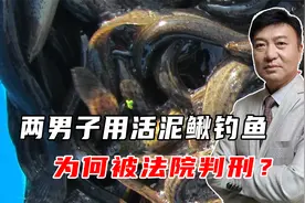 两男子用活泥鳅钓鱼，为何被法院判刑？法官：属于非法捕捞