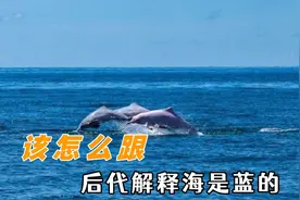 该怎么跟后代解释海是蓝的：海的那边是什么，万生万物做错了什么视频封面