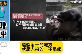 韩国媒体炒作杭州动物园的熊，韩国网友争论不休，难下决断视频封面
