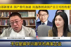 国家工信部新要求 国产替代加速 沈逸教授谈国产自主可控的重要性视频封面