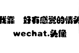 情头|又是可爱到爆表的情头呀视频封面