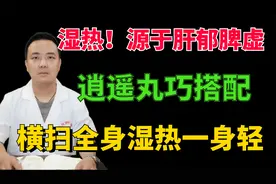 湿热源于肝郁脾虚，逍遥丸巧搭配，祛除湿热一身轻视频封面