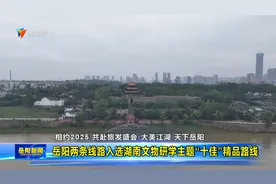 岳阳两条线路入选湖南文物研学主题“十佳”精品路线视频封面