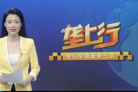 身价翻百倍 一粒米“链”出稻香大产业视频封面