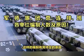 军、师、旅、团、营、连、排、班
各单位编制人数及原因！