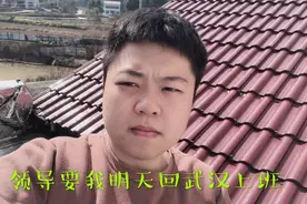 领导打电话问我能不能按时回武汉上班，看看我怎么回复他的吧视频封面