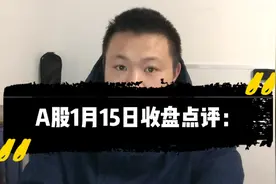 A股1月15日收盘点评：个股大面积下跌，今天怎么了？