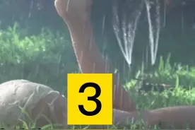 当大叔爱上与自己女儿一样年纪的少女，是如何沦陷的？视频封面