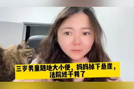 三岁男童随地大小便，妈妈掉下悬崖，
法院终于判了视频封面