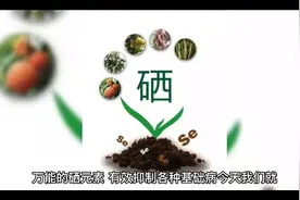 硒元素对糖尿病的健康作用