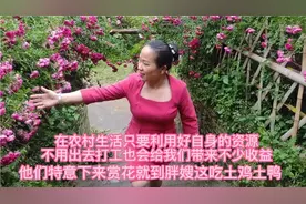 农村利用自家的房子做点小生意，不用出去打工也可以赚钱养家视频封面