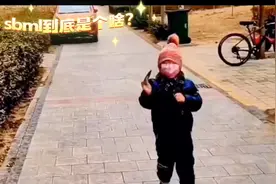 这sbml到底是个啥玩意。结局惊讶了
