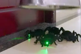 姜还是老的辣，鬼哥猪圈开黑上网
