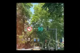 南京城市里，随处可见的梧桐树（全程手机支架拍摄）视频封面