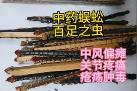 中药蜈蚣，中风偏瘫关节疼痛疮疡肿毒