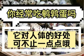我们常吃的鹌鹑蛋对身体健康有很大帮助，很多人却不知道！视频封面