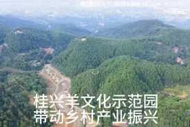 四川广安前锋区，建设羊文化示范园，带动乡村产业振兴，渔桥……视频封面