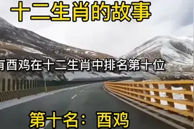 十二生肖第十名：酉鸡视频封面