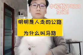 浅谈中视频伙伴计划17000播放量！人走的公路为什么叫马路！