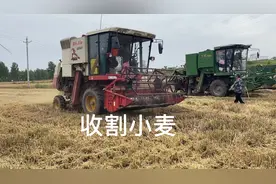 河南南阳小麦丰收了，72岁大爷种8亩小麦，对今年的收入很满意视频封面
