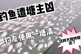 钓鱼遇到家养塘遭塘主凶，钓友们请理智对待，一塘清的大错不要犯视频封面