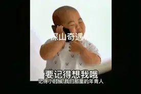 深山奇遇:黄鼠狼捕杀蛇，断成多节，见人留一份！视频封面