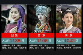 五十六个民族，前二十排名，人口数量及地理分布