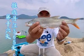 丹江目前最好钓的鱼就是红尾和翘嘴！学会这套方法想“空军”都难视频封面