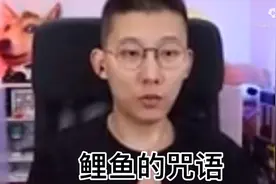 星尘远征  鲤鱼的咒语是真的好用视频封面