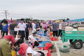 青岛小码头开海，渔民个个满网！来买海鲜都没地方停车了！视频封面