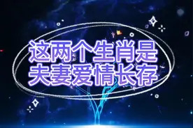 这两个生肖是夫妻，爱情长存，可以白头偕老！视频封面