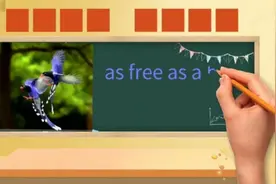 趣记单词打卡！as free as a bird 无拘无束;视频封面
