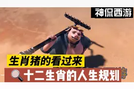 生肖猪最适合的职业视频封面