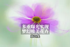 当花卉摄影遇上多重曝光，画意的朦胧感就来了视频封面