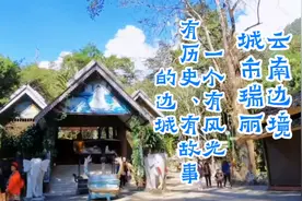 一个有风光有故事的云南边境城市瑞丽，不知道令多少北方人倾倒。视频封面