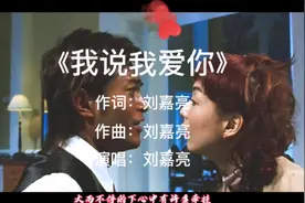 刘嘉亮经典情歌《我说我爱你》听到落泪 唱尽爱情的悲欢离合视频封面