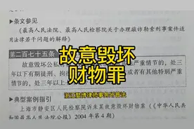《刑法》275条故意毁坏财物罪#刑法#故意毁坏财物罪#普法视频封面