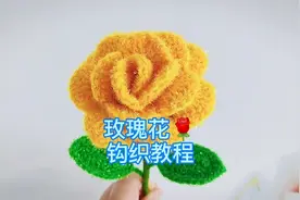 玫瑰花🌹钩织教程视频封面